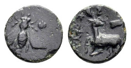 IONIA. Ephesos.(Circa 390-320/00 BC).Uncertain magistrate.Ae.

Obv : Ε - Φ.
Bee.

Rev : Stag kneeling left, head right; astragalos above.
SNG Copenhag...