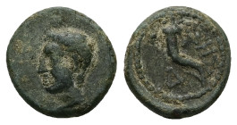 Thrace, Sestos. AE, 2.27 g - 13.67 mm. Augustus, 27 BC-AD 14.
Obv.: Bare male head left.
Rev.: ΣΗΣ; Cornucopia; to left, Δ. Dotted border.
Ref: RPC...