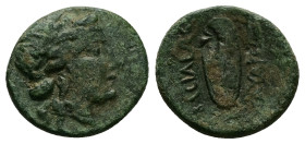 Galatian Kings of Thrace. Kavaros. Ae, 3.96 g 18.12 mm. Circa 230-213 BC.
Obv.: Laureatehead of Apollo right.
Rev.: ΒΑCΙΛΕΩC ΚΑΥΑΡΟΥ; Oval shield. Cou...
