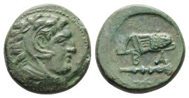 Kings of Macedon, Alexander III 'the Great'. AE, 5.20 g. - 17.50 mm. 336-323 BC. Uncertain Macedonian mint.
Obv: Head of Herakles right, wearing lion...