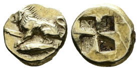 Mysia, Kyzikos. EL Hekte, 2.67 g 11.09 mm. Circa 550-450 BC.
Obv: Lion, raising forepaw, seated left on tunny left.
Rev: Quadripartite incuse square.
...