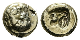 Lesbos, Mytilene. El Hekte, 2.56 g 11.03 mm. Circa 478-455 BC. 
Obv: Bearded head of Silenos facing slightly to right. 
Rev: Incuse head of a roaring ...