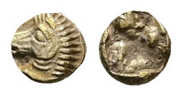 Ionia, Uncertain. EL 1/48 Stater, 0.29 g 5 mm. Circa 700-500 BC.
Obv: Head of a horse left.
Rev: Incuse square punch.
Ref: SNG v. Aulock 7780.
VF