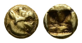 Ionia, Phokaia. EL 1/24 Stater. 0.64 g 6.22 mm. Circa 625/00 BC.
Obv: Head of griffin right.
Rev: Quadripartite incuse square.
Ref: Bodenstedt E1; Bos...