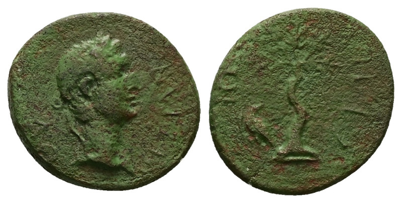 Troas, Scepsis. Domitian, 81-96 AD. AE. 4.70 g. 18.49 mm.
Obv: […] ΔΟΜΙΤΙΑΝ[…]....