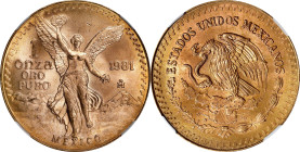 MEXICO. Gold Onza, 1981-Mo. Mexico City Mint. NGC MS-66.
Fr-178; KM-489. AGW: 1.00 oz. This radiant gold ounce displays well-preserved surfaces with ...