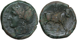 Greek Italy. Samnium, Southern Latium and Northern Campania, Cales. AE 21 mm. c. 265-240 BC. Obv. CALENO. Laureate head of Apollo left; serpent behind...