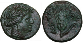 Greek Italy. Southern Lucania, Metapontum. AE 14 mm. c. 300-250 BC . Obv. Head of Demeter right, wearing barley-wreath. Rev. META. Barley-ear with lea...
