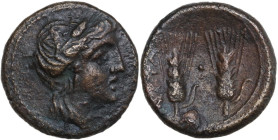 Greek Italy. Southern Lucania, Metapontum. AE 17 mm, late 3rd century BC. HGC 1 1098; HN Italy 1715. AE. 4.51 g. 16.50 mm. Brown patina. Good VF.