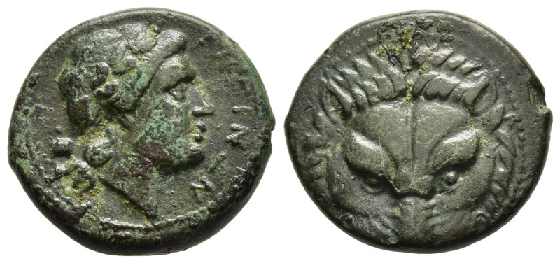 BRUTTIUM. Rhegion. Ae (Circa 351-280 BC)

Obv: Head of lion facing.
Rev: PHΓINΩN...