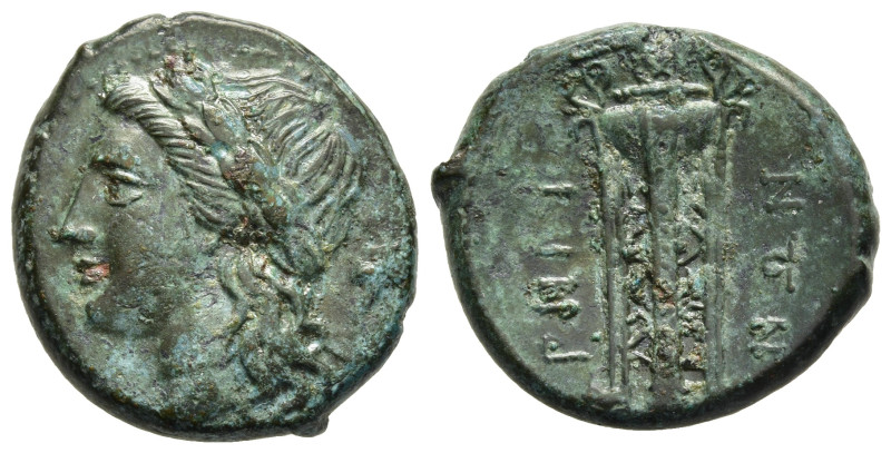BRUTTIUM. Rhegion. Ae (Circa 260-215 BC).

Obv: Laureate head of Apollo left; po...