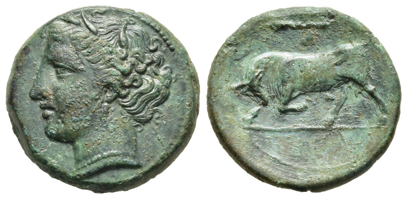 SICILY. Syracuse. Hieron II (275-215 BC). Ae.

Obv: ΣYPAKOΣIΩN. 
Wreathed head o...