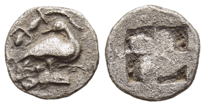MACEDON. Eion. Obol (Circa 480-460 BC).

Obv: Goose standing right, head left;...