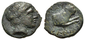 KINGS OF MACEDON. Pausanias (Circa 395/4-393 BC). Ae. Aigai or Pella.

Obv: Head of Apollo right, wearing tainia.
Rev: ΠΑΥΣ / ΑΝΙΑ. 
Forepart of lion ...