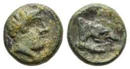 KINGS OF MACEDON. Amyntas II (395/4-393 BC). Ae. 

Obv: Male head right.
Rev: AMYNTA. 
Forepart of wolf right.

SNG ANS -; SNG Alpha Bank 179-80.

Con...