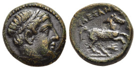 KINGS OF MACEDON. Alexander III 'the Great' (336-323 BC). Ae Half unit. Pella or Aigai(?).

Obv. Male head right, wearing tainia.
Rev: ΑΛΕΞΑΝΔΡΟΥ.
Hor...