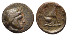 CRETE. Kydonia. Ae (4th century BC).

Obv: Head of Pan right.
Rev: KY.
Hound seated right.

Svoronos, Numismatique 49; SNG Copenhagen 412.

Ra...
