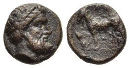 CYCLADES. Syros. Ae (circa 3rd-1st century BC).

Obv: Horned head of Pan right.
Rev: Goat advancing left; barley ears in left field.

Joy 564; BMC 1.
...