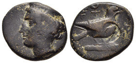 CYPRUS. Paphos. Timocharis (circa 350-332 BC). Ae. 

Obv: Head of Aphrodite left wearing stephane.
Rev: Dove standing right; Cypriot letter 'ba' and a...
