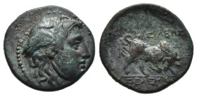 SELEUKID KINGDOM. Seleukos I Nikator (312-281 BC). Ae. Antioch.

Obv: Winged head of Medusa right.
Rev: BAΣIΛEΩΣ ΣEΛEYKOY. 
Bull butting right.

SC 22...