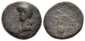 MACEDON. Thessalonica. Agrippina II. (50-59). Ae.

Obv: ΣΕΒΑΣΤΗ.
Draped bust left.
Rev: ΘΕϹϹΑΛΟΝΙΚΗ.
Nike on globe left, holding wreath and palm branc...