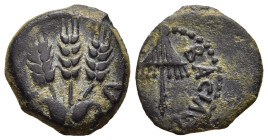JUDAEA. Agrippa I (52-59). Ae Prutah. Jerusalem. Dated year 6.

Obv: BACIΛEWC AΓPIΠA . 
Umbrella-like canopy with fringes.
Rev: Three ears of barley g...