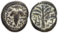 JUDAEA. Bar Kokhba Revol (132-135). Ae Prutah. Jerusalem. Dated year 1 (132/3).

Obv: Paleo-Hebrew legend.
Seven-branched palm tree with two bunches o...