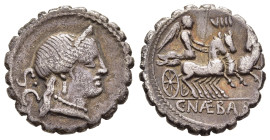 C. NAEVIUS BALBUS. Serrate Denarius (79 BC). Rome.

Obv: Diademed head of Venus right; S C to left.
Rev: C NAE BALB. 
Victory driving triga right, hol...