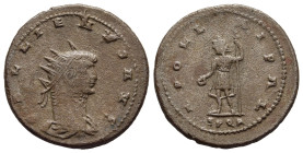 GALLIENUS (253-268). Antoninianus. Cyzicus.

Obv: GALLIENVS AVG. 
Radiate, draped, and cuirassed bust right. 
Rev: APOLLINI PAL
Apollo standing left, ...