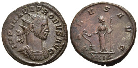 PROBUS (276-282). Antoninianus. Rome.

Obv: IMP C M AVR PROBVS AVG.
Radiate and cuirassed bust right. 
Rev. SALVS AVG / XXIΔ.
Salus standing facing, h...