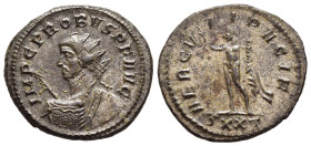 PROBUS (276-282). Antoninianus. Ticinum. 

Obv: IMP C PROBVS P F AVG. 
Radiate bust left, with back facing, holding spear and with shield over shoulde...