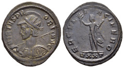 PROBUS (276-282). Antoninianus. Ticinum.

Obv: VIRTVS PROBI AVG.
Radiate, helmeted and cuirassed bust left, spear and shield decorated with star. 
Rev...