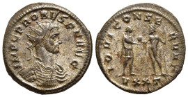 PROBUS (276-282). Antoninianus. Ticinum.

Obv: IMP C PROBVS P F AVG.
Radiate and cuirassed bust right.
Rev: IOVI CONSERVAT / VXXT.
Emperor standing ri...