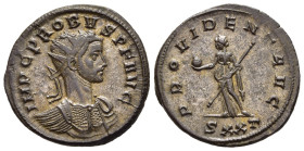 PROBUS (276-282). Antoninianus. Ticinum. 

Obv: IMP C PROBVS P F AVG. 
Radiate, draped and cuirassed bust right.
Rev: PROVIDENT AVG / SXXT. 
Provident...