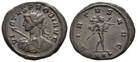 PROBUS (276-282). Antoninianus. Ticinum. 

Obv: VIRTVS PROBI AVG. 
Radiate bust left, heroically nude and seen from behind, holding spear in his right...