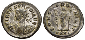 PROBUS (276-282). Antoninianus. Ticinum 

Obv: VIRTVS PROBI AVG.
Radiate and cuirassed bust left, holding shield and spear; shield decorated with marc...