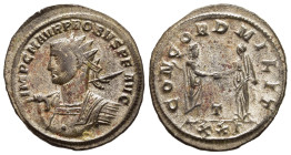 PROBUS (276-282). Antoninianus. Siscia

Obv: IMP C M AVR PROBVS AVG.
Radiate and cuirassed bust left, holding spear in right hand
Rev: CONCORD MILITV ...