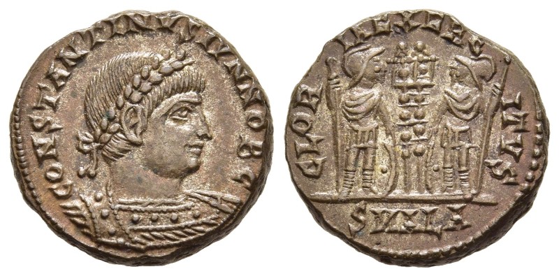 CONSTANTINE II (Caesar, 316-337). Follis. Alexandria.

Obv: CONSTANTINVS IVN N...