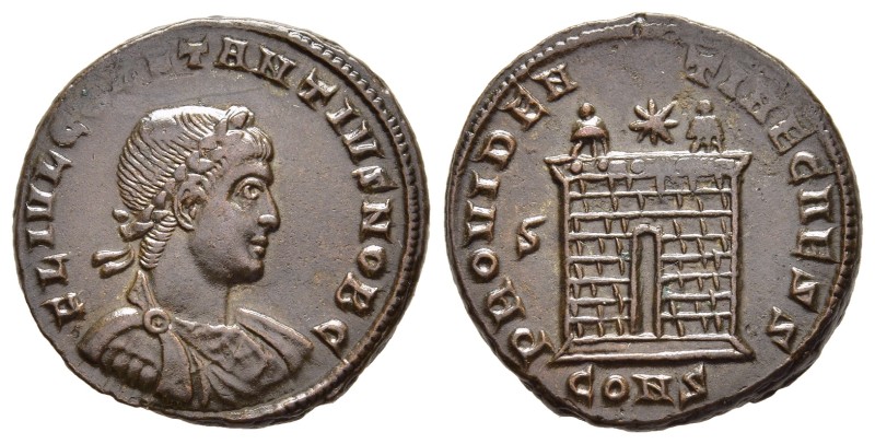 CONSTANTIUS II (Caesar, 324-337). Follis. Constantinople.

Obv: FL IVL CONSTAN...