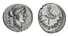 POSTUMIA. Denario. Roma (48 a.C.). R/ Dos manos saludándose sobre caduceo alado; ALBINVS BRVTI F. FFC-1075. SB-10. EBC. Escasa.