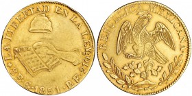 MÉXICO. 8 escudos. 1851. Guanajuato. PF. KM-383.7. Golpe en el canto. MBC.