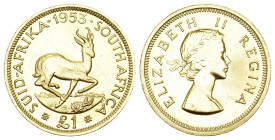 Süd Afrika 1953
SÜD AFRIKA 1953 1 Pfund Gold 7.98g KM 54 Auflage nur 4000 Stk unzirkuliert ab Proof