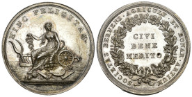 Bern O.J nach 1800
BERN O.J nach 1800 Oekonomische Gesellschaft Verdienstmedaille Silber 30.6g 39mm SM 649 bis unzirkuliert