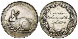 St.Gallen 1910
ST.GALLEN 1910 Ostschweizer Hasen Verbandsausstellung Silber 22g 39mm bis unzirkuliert