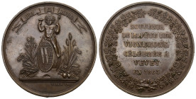 Vevey 1865
WAADT 1865 Fete de Vigneros Bronce Medaille 42mm vorzüglich
