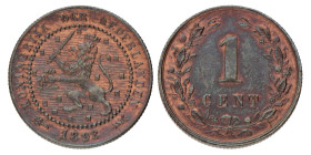 1 Cent. Wilhelmina. 1898. UNC -.