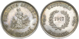 PORTUGAL
 Silbermedaille 1917 (eingraviert). Landwirtschaftliche Covilha. 30 mm. 8,70 g. Vorzüglich-Stempelglanz