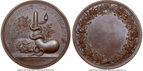 Napoleon bronze "Paris Pharmacological School" Medal 1803-Dated MS66 Brown NGC, Bram-264. 38.5mm. By Brenet. Celebrating the opening of the Parisian S...
