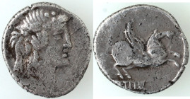 Repubblica Romana. Gens Titia. Quintus Titius. 90 a.C. Denario. Ag. D/ Testa del dio Mutinus Titinus verso destra. R/ Q.TITI (Quintus Titius) Pegaso i...