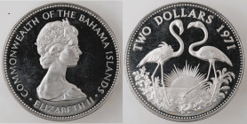 Monete Estere. Bahamas. Elisabetta II. 2 Dollari 1971. Ag. KM# 23. Peso 29,55 gr. SPL+. Graffio al diritto. Proof. (10622)